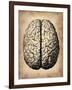 Vintage Brain-NaxArt-Framed Art Print