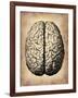 Vintage Brain-NaxArt-Framed Art Print