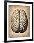 Vintage Brain-NaxArt-Framed Art Print