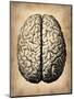 Vintage Brain-NaxArt-Mounted Art Print