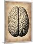 Vintage Brain-NaxArt-Mounted Art Print