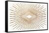 Vintage Burst 1-Kimberly Allen-Framed Stretched Canvas