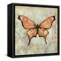 Vintage Butterflies I-Paul Brent-Framed Stretched Canvas