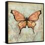 Vintage Butterflies I-Paul Brent-Framed Stretched Canvas