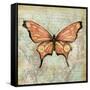 Vintage Butterflies I-Paul Brent-Framed Stretched Canvas