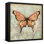Vintage Butterflies I-Paul Brent-Framed Stretched Canvas