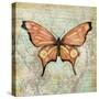 Vintage Butterflies I-Paul Brent-Stretched Canvas