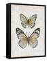 Vintage Butterflies I-Janet Tava-Framed Stretched Canvas