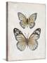 Vintage Butterflies I-Janet Tava-Stretched Canvas