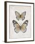 Vintage Butterflies I-Janet Tava-Framed Art Print