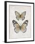 Vintage Butterflies I-Janet Tava-Framed Art Print