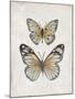 Vintage Butterflies I-Janet Tava-Mounted Art Print