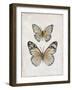 Vintage Butterflies I-Janet Tava-Framed Art Print