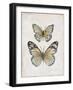 Vintage Butterflies I-Janet Tava-Framed Art Print