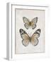 Vintage Butterflies I-Janet Tava-Framed Art Print