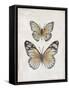 Vintage Butterflies I-Janet Tava-Framed Stretched Canvas