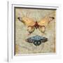 Vintage Butterflies II-Paul Brent-Framed Art Print