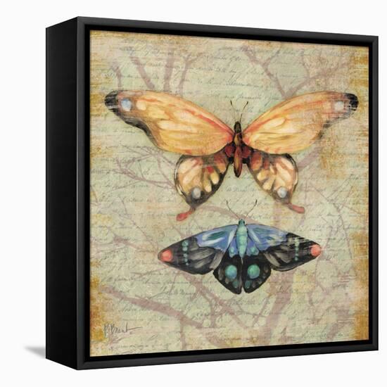 Vintage Butterflies II-Paul Brent-Framed Stretched Canvas