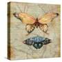 Vintage Butterflies II-Paul Brent-Stretched Canvas
