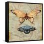 Vintage Butterflies II-Paul Brent-Framed Stretched Canvas