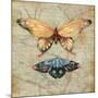 Vintage Butterflies II-Paul Brent-Mounted Art Print