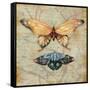 Vintage Butterflies II-Paul Brent-Framed Stretched Canvas