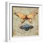 Vintage Butterflies II-Paul Brent-Framed Art Print