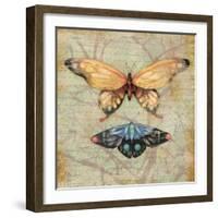 Vintage Butterflies II-Paul Brent-Framed Art Print