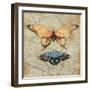 Vintage Butterflies II-Paul Brent-Framed Art Print