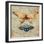 Vintage Butterflies II-Paul Brent-Framed Art Print