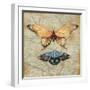 Vintage Butterflies II-Paul Brent-Framed Art Print