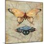 Vintage Butterflies II-Paul Brent-Mounted Art Print