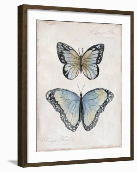 Vintage Butterflies II-Janet Tava-Framed Art Print