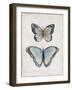 Vintage Butterflies II-Janet Tava-Framed Art Print