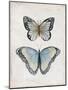 Vintage Butterflies II-Janet Tava-Mounted Art Print