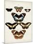 Vintage Butterflies II-Vision Studio-Mounted Art Print