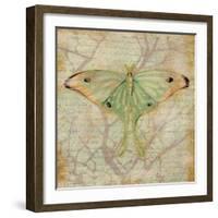 Vintage Butterflies III-Paul Brent-Framed Art Print