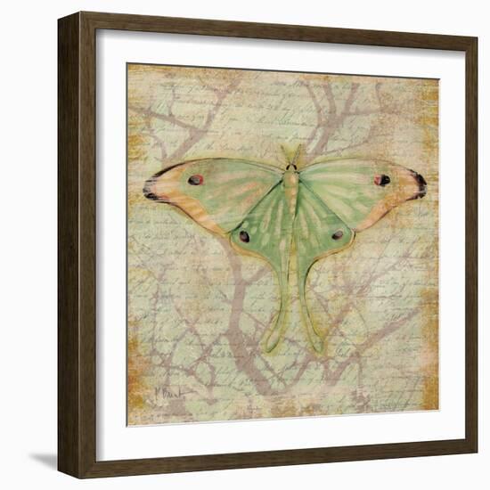 Vintage Butterflies III-Paul Brent-Framed Art Print