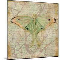 Vintage Butterflies III-Paul Brent-Mounted Art Print