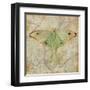 Vintage Butterflies III-Paul Brent-Framed Art Print