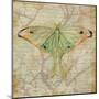 Vintage Butterflies III-Paul Brent-Mounted Art Print