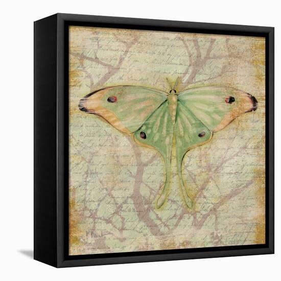 Vintage Butterflies III-Paul Brent-Framed Stretched Canvas