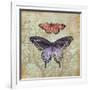 Vintage Butterflies IV-Paul Brent-Framed Art Print