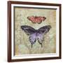 Vintage Butterflies IV-Paul Brent-Framed Art Print