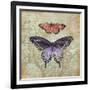 Vintage Butterflies IV-Paul Brent-Framed Art Print