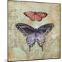 Vintage Butterflies IV-Paul Brent-Mounted Art Print
