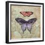 Vintage Butterflies IV-Paul Brent-Framed Premium Giclee Print