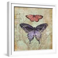 Vintage Butterflies IV-Paul Brent-Framed Premium Giclee Print