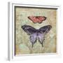 Vintage Butterflies IV-Paul Brent-Framed Premium Giclee Print