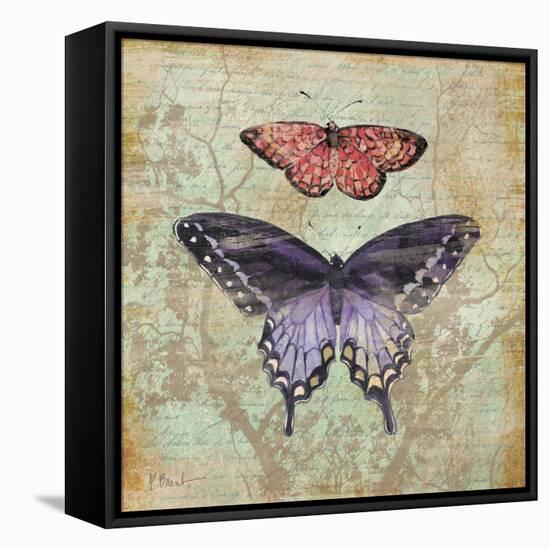 Vintage Butterflies IV-Paul Brent-Framed Stretched Canvas